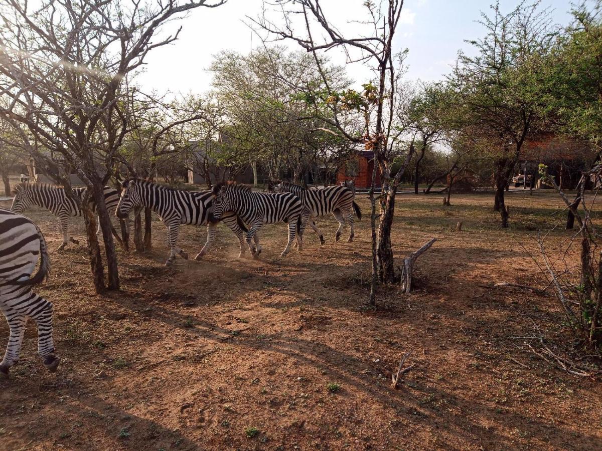 Marloth Kruger View Apartment Marloth Park Exterior photo